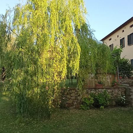 La Bellana Apartment Guardistallo Bagian luar foto