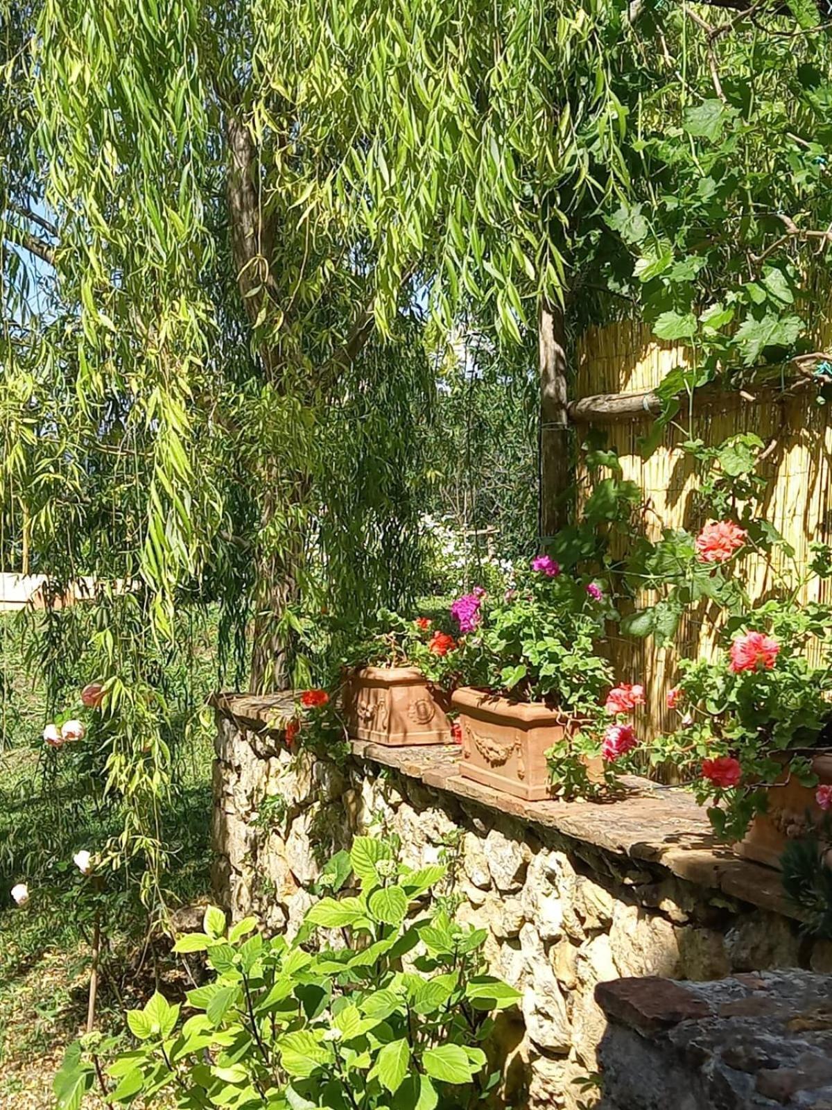 La Bellana Apartment Guardistallo Bagian luar foto