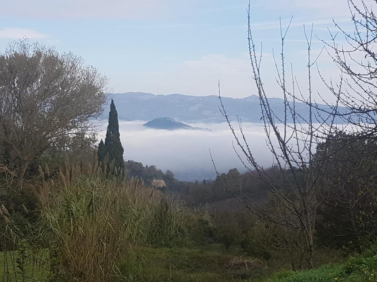 La Bellana Apartment Guardistallo Bagian luar foto